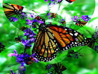 Butterfly Picnic Kaleidoscope