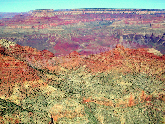 Colors of the Canyon