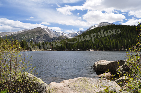 Bear Lake Landscape