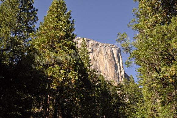 Yosemite's Splendor
